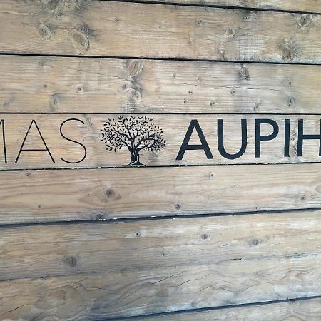 Вилла Mas Aupiho Сен-Реми-де-Прованс Экстерьер фото